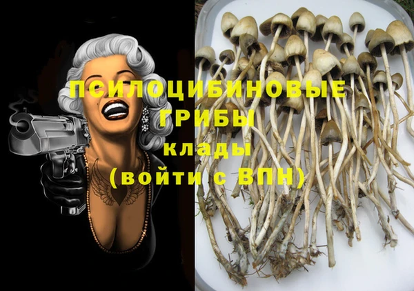 стафф Кукмор