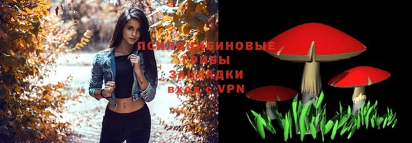стафф Кукмор